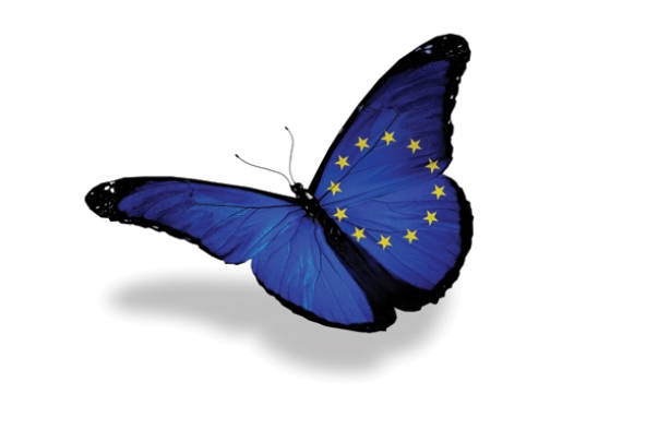 eu leptir