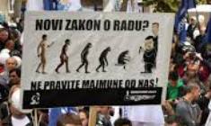 majmuni
