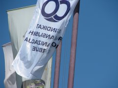 img_6597.jpg